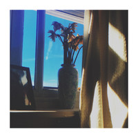 Pure Sky - Everyone Else