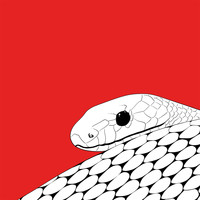 Spatial Awareness - Snakeoil