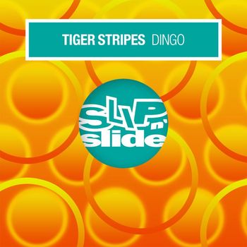 Tiger Stripes - Dingo