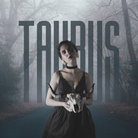 Zodiac - Taurus