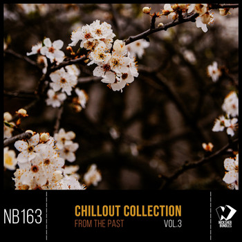 Various Artists - Chillout Collection from the Past, Vol.3