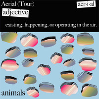 Animals - Aerial Tour