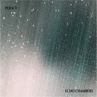 Policy - Echo Chambers
