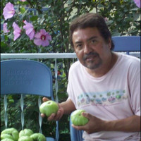 Javier Figueroa - Bronco Rosillo