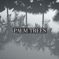 Flash - Palm Trees (Explicit)