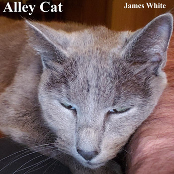 James White - Alley Cat