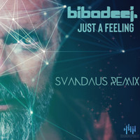 BIBA DEE J - Just A Feeling (Svandaus Remix)