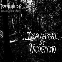 Travis Heeter - Rituals in the Void V: Traversal by Incognito