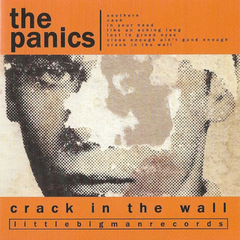The Panics - Crack In The Wall