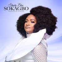 Shady Blue - Sokagbo