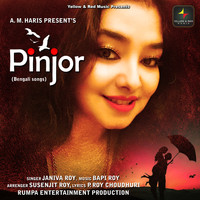 Janiva Roy - Pinjor