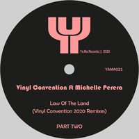 Vinyl Convention - Law of the Land (2020 Remixes)