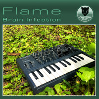 Flame - Brain Infection