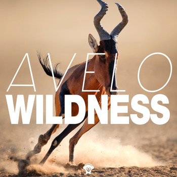 Avelo - Wildness