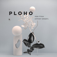 Ploho - Куда Птицы Улетают Умирать