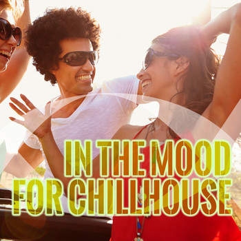 Various Artists - In the Mood for Chillhouse