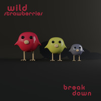 Wild Strawberries - Breakdown
