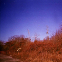Chromosome Homes - Antediluvian