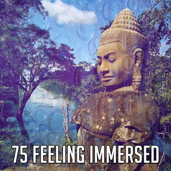 Meditation Spa - 75 Feeling Immersed