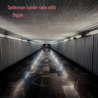 Biggie - Spiderman (Spider Radio Edit)