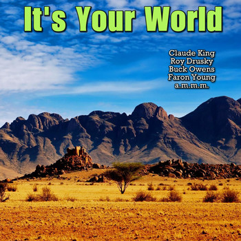 Various Artists - It's Your World