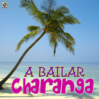 Various Artists - A Bailar Charanga