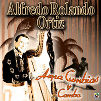 Alfredo Rolando Ortiz - Arpa Cumbias y Combo