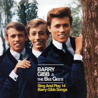 Barry Gibb & The Bee Gees - The Bee Gee's Sing & Play 14 Barry Gibb Songs
