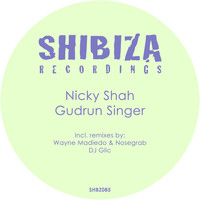 Nicky Shah - Gudrun Singer