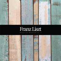 Franz Liszt - Hungarian Rhapsody No. 2