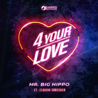 Mr. Big Hippo - 4 Your Love