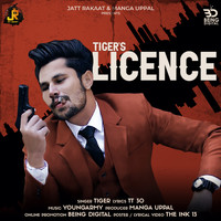 Tiger - Licence