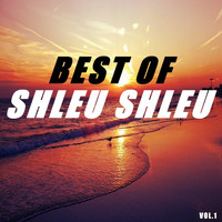 Shleu Shleu - Best of shleu shleu (Vol.1)