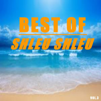 Shleu Shleu - Best of shleu shleu (Vol.3)