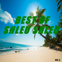 Shleu Shleu - Best of shleu shleu (Vol.2)