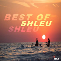 Shleu Shleu - Best of shleu shleu (Vol.4)