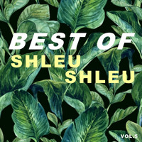 Shleu Shleu - Best of shleu shleu (Vol.5)