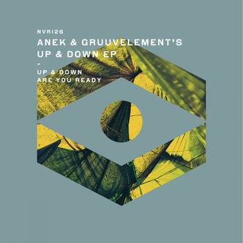 Anek & GruuvElement's - Up & Down EP