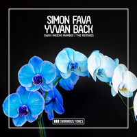 Simon Fava, Yvvan Back, Leventina & Me & My Toothbrush - Sway (Mucho Mambo) (The Remixes)