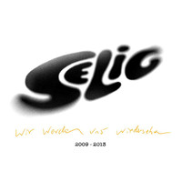 Selig - Wir werden uns wiedersehen - Best Of 2009-2013
