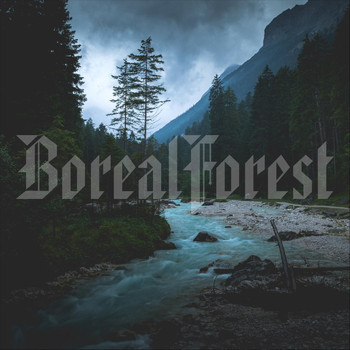 BorealForest - Spirit