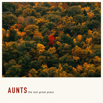Aunts - The Last Great Place