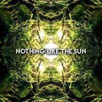 Adam Deitch - Nothing Like The Sun