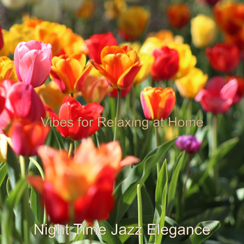 Night Time Jazz Elegance - Vibes for Relaxing at Home