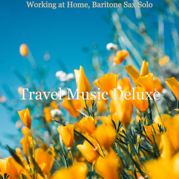 Travel Music Deluxe - Working at Home, Baritone Sax Solo