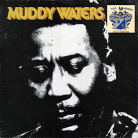 Muddy Waters - Muddy Waters 2