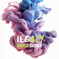 Animal Culture - Legacy