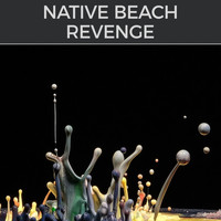Native Beach - Revenge (D-Soriani House MIx)