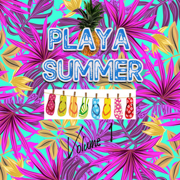 Various Artists - Playa summer, vol. 1 (La compilation qui donne chaud ! [Explicit])