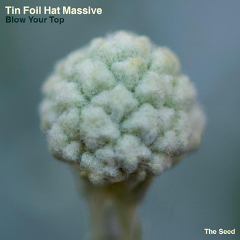 Tin Foil Hat Massive - Blow your top